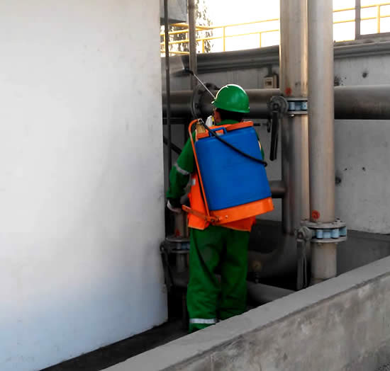 Importancia de la Fumigación Periódica