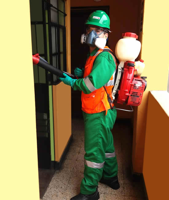 En Ageval Fumigación ofrecemos Servicio de Desinsectación técnico de limpieza y fumigación realizando el Servicio de Desinsectación